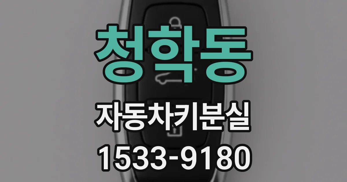 청학동 자동차키분실