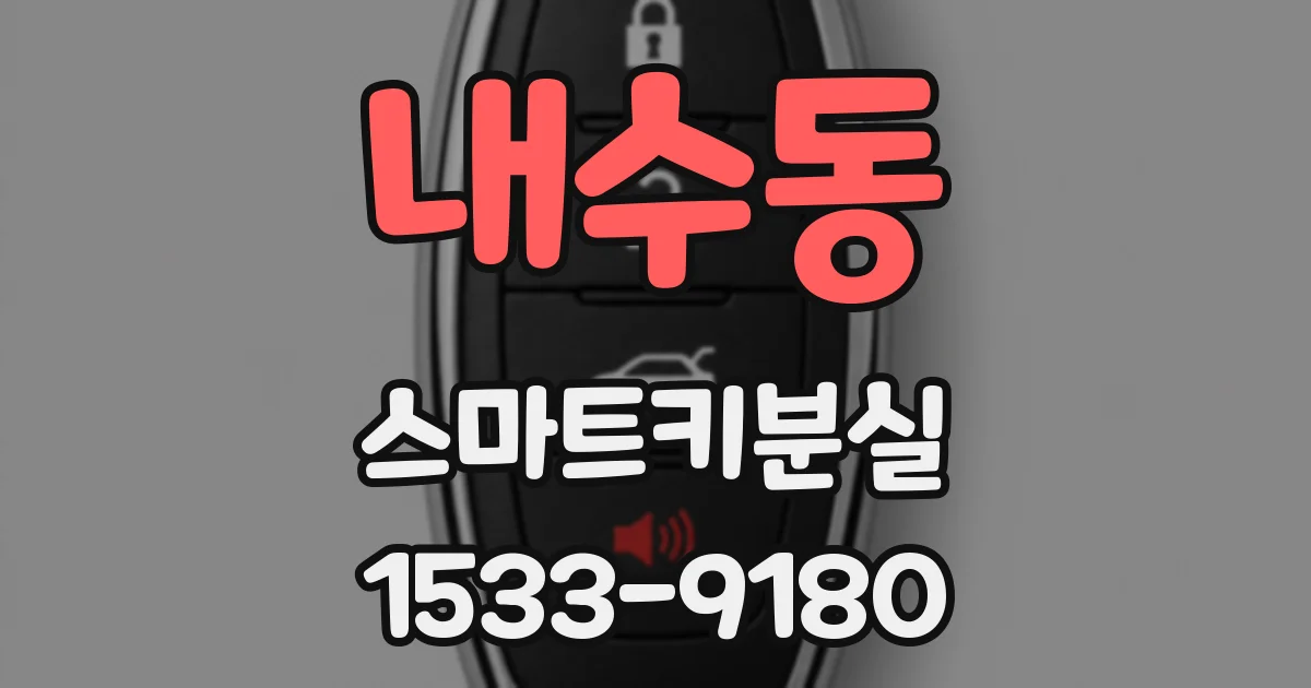 내수동 스마트키분실