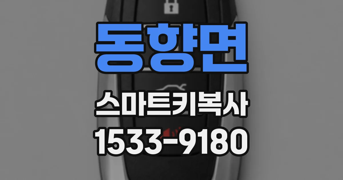 동향면 스마트키복사