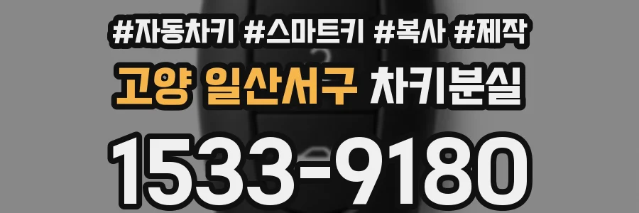 고양 일산서구 차키분실