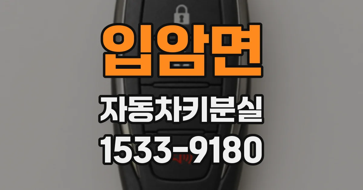 입암면 자동차키분실