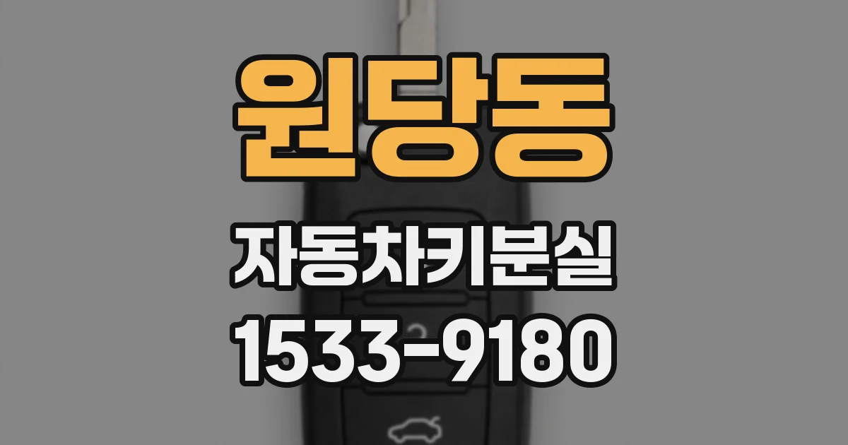 원당동 자동차키분실