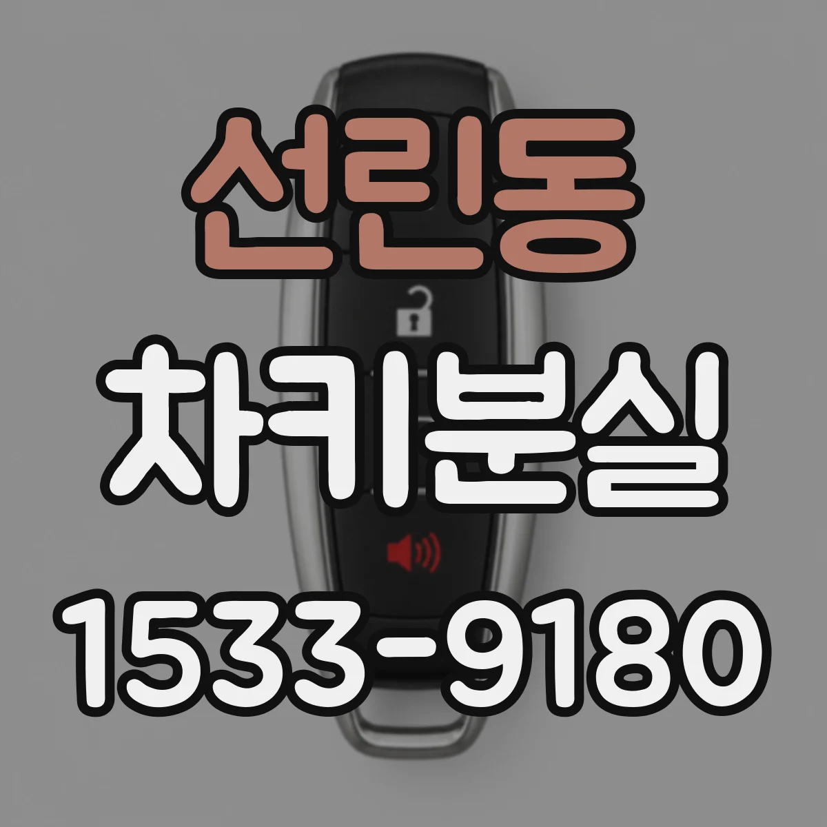 선린동 차키분실