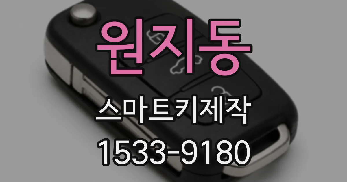 원지동 스마트키제작