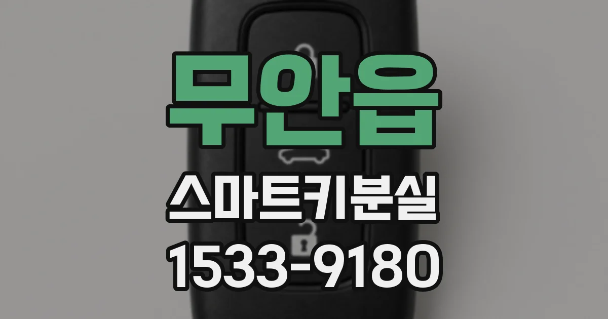 무안읍 스마트키분실