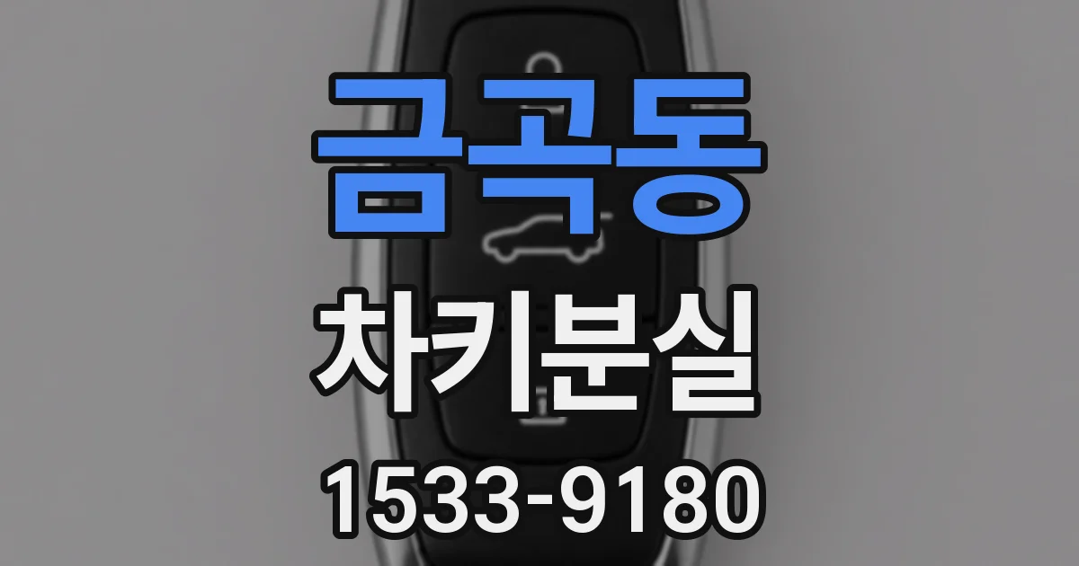 금곡동 차키분실