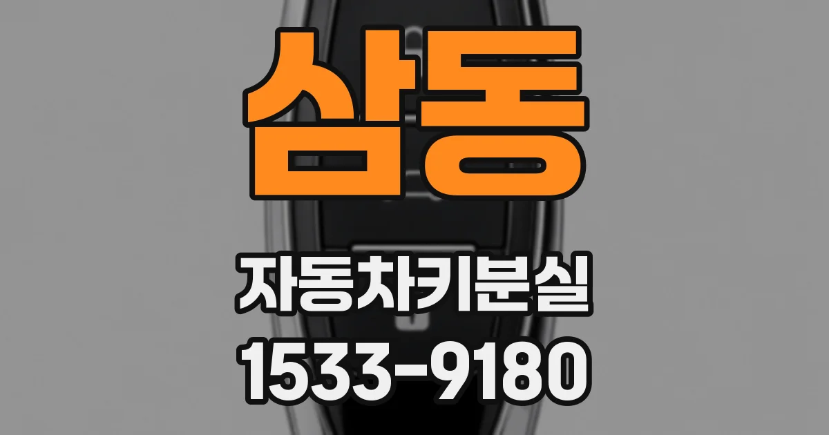 삼동 자동차키분실