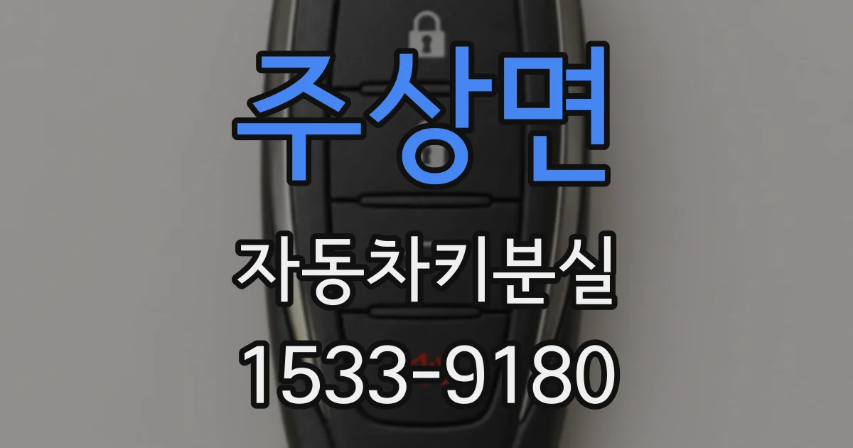 주상면 자동차키분실