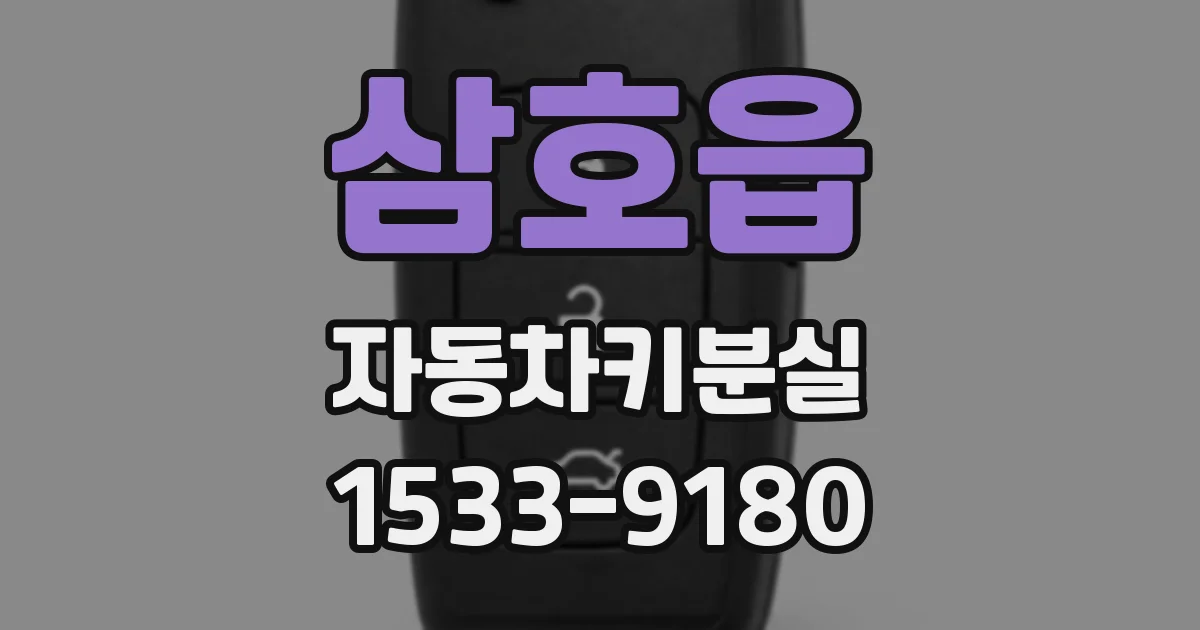삼호읍 자동차키분실