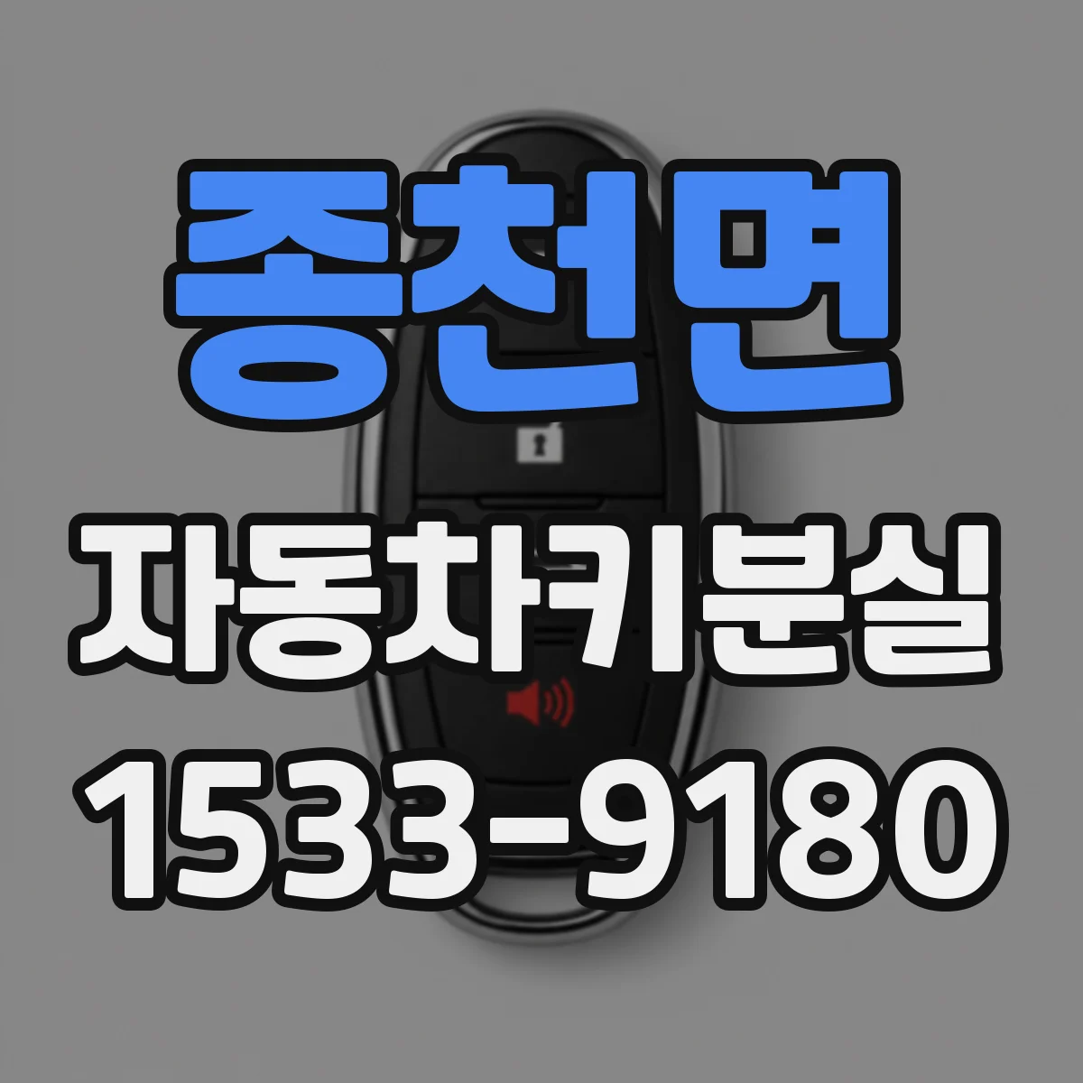 종천면 자동차키분실
