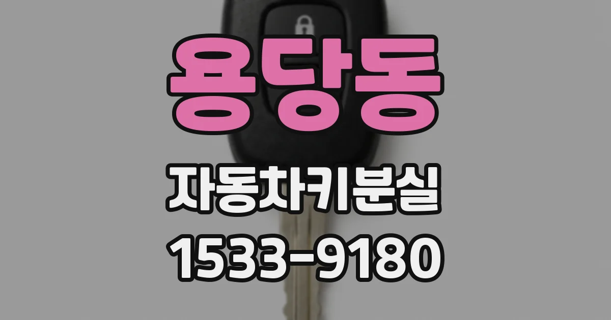 용당동 자동차키분실