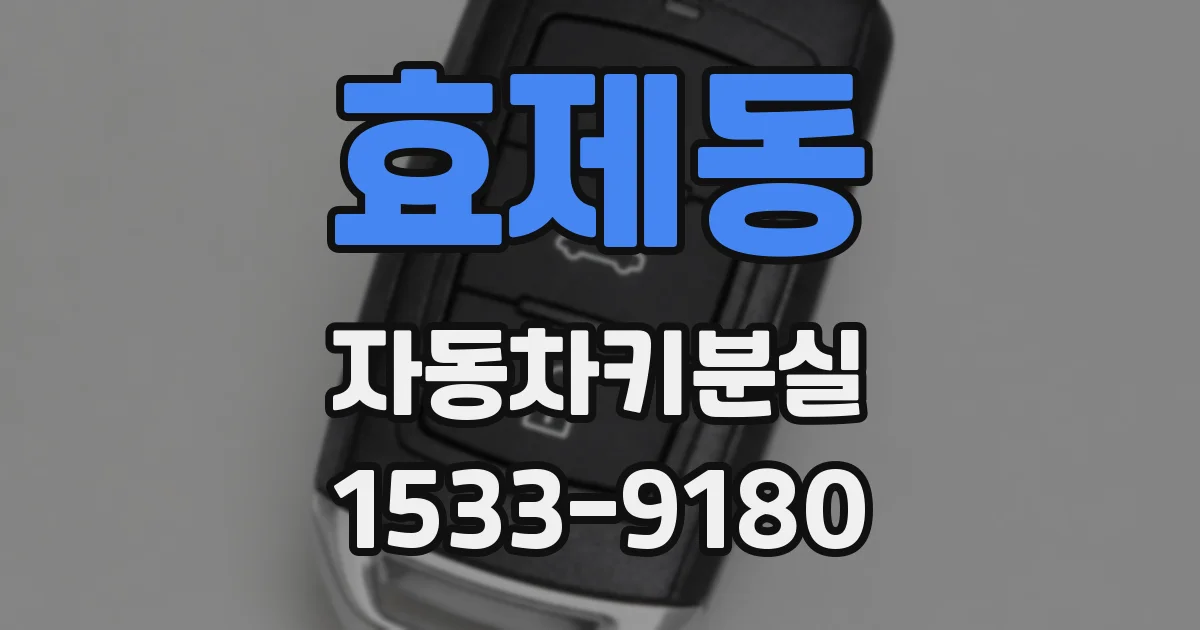 효제동 자동차키분실