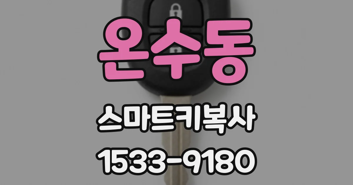 온수동 스마트키복사
