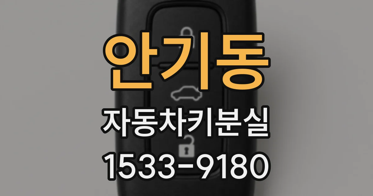 안기동 자동차키분실