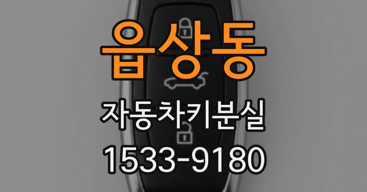 읍상동 자동차키분실