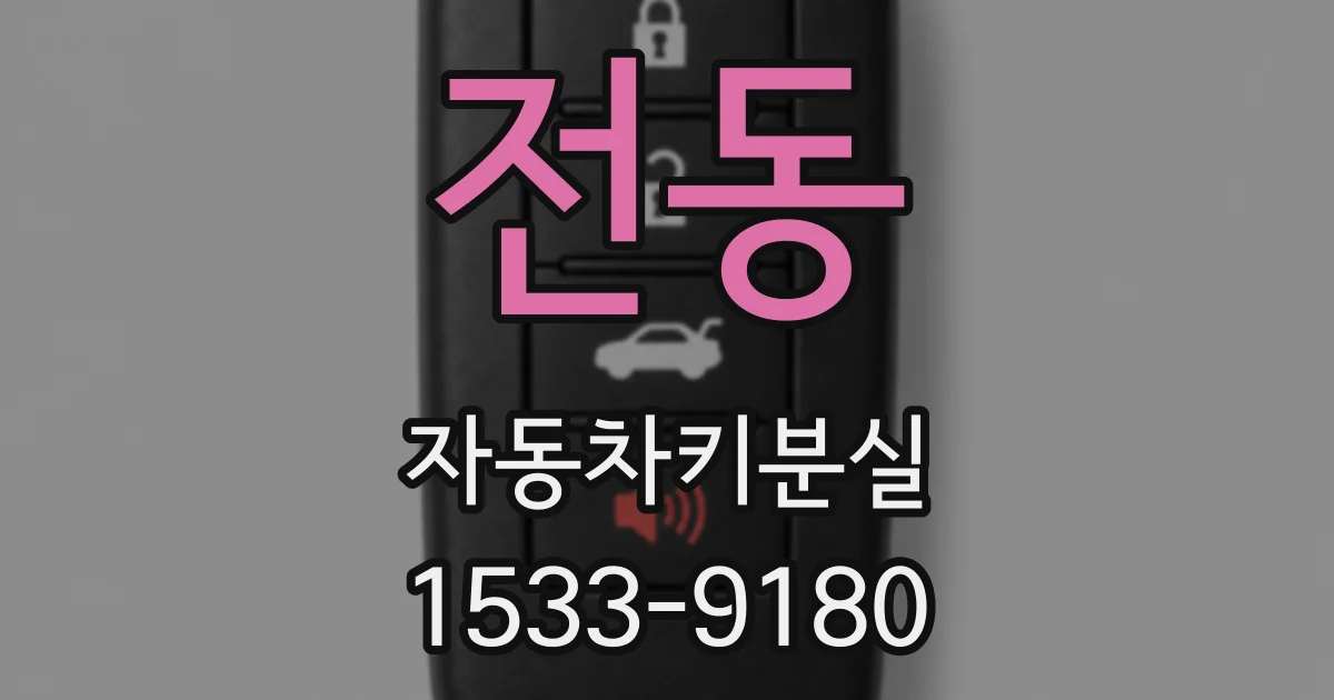 전동 자동차키분실