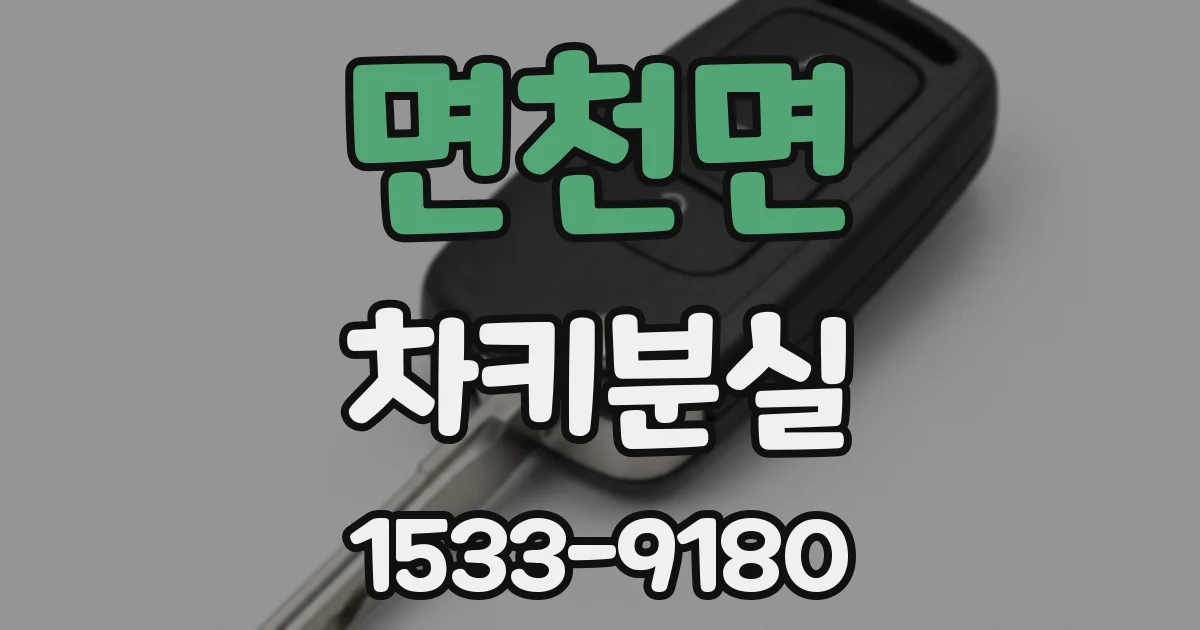 면천면 차키분실