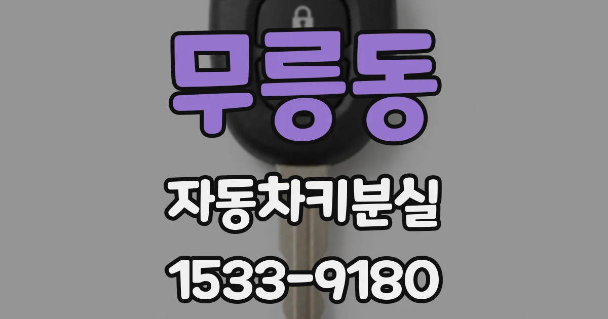 무릉동 자동차키분실