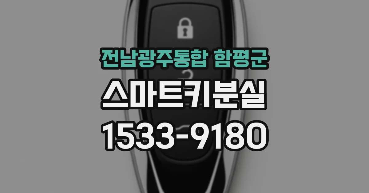 전남광주통합 함평군 스마트키분실