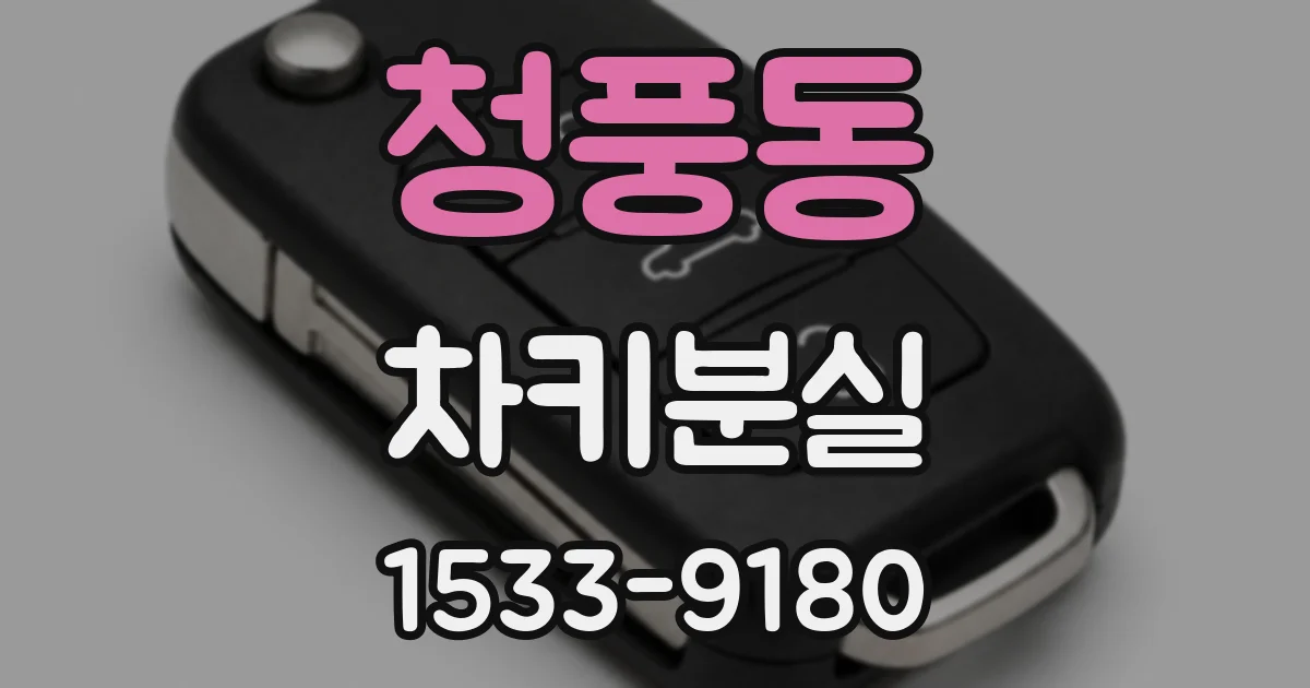 청풍동 차키분실
