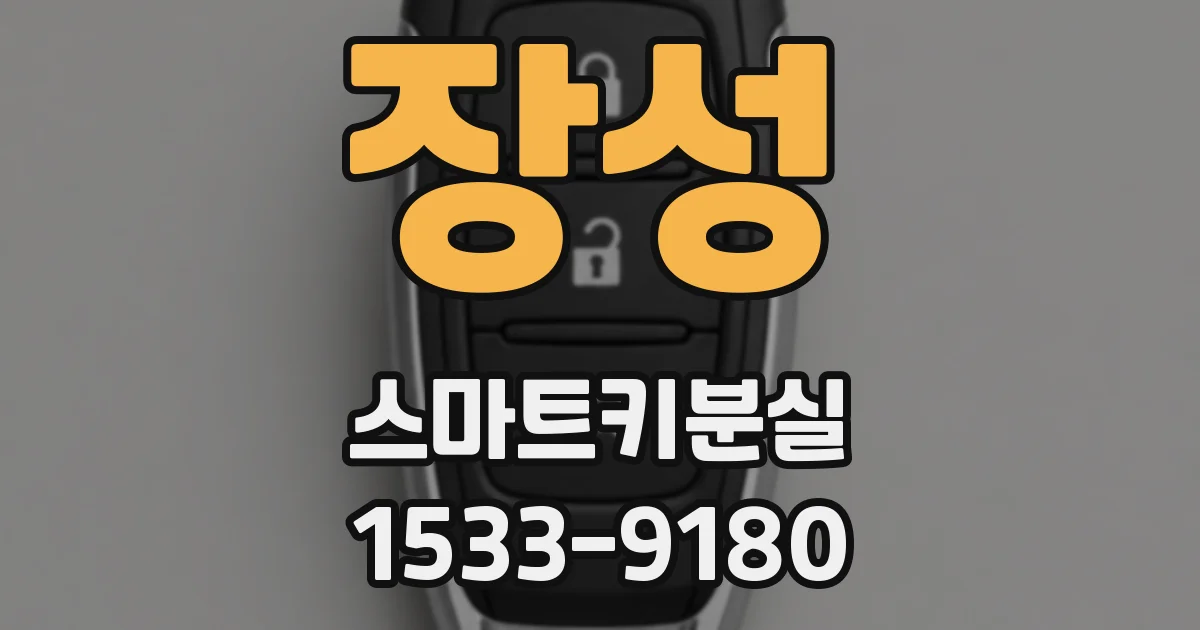 장성 스마트키분실