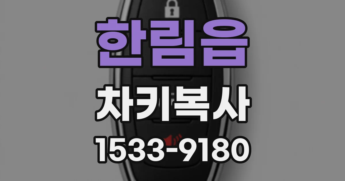 한림읍 차키복사