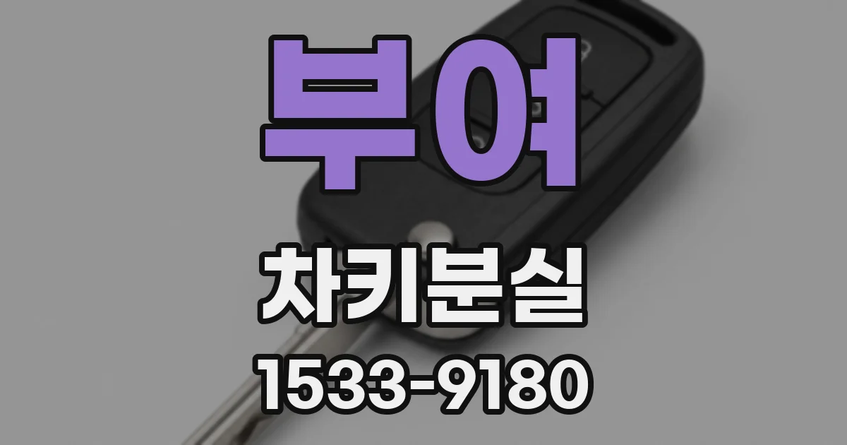 부여 차키분실