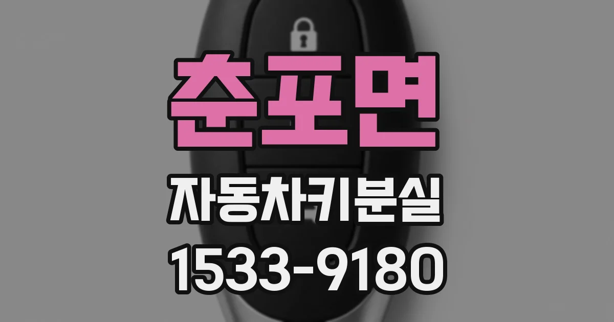 춘포면 자동차키분실