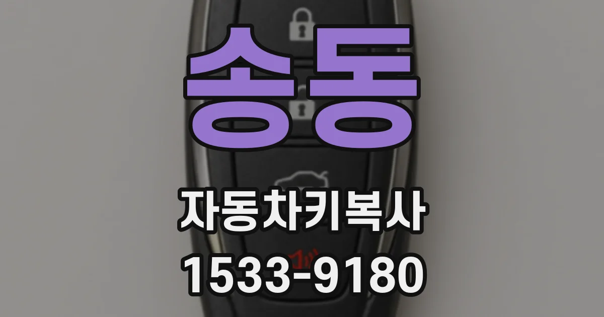 송동 자동차키복사