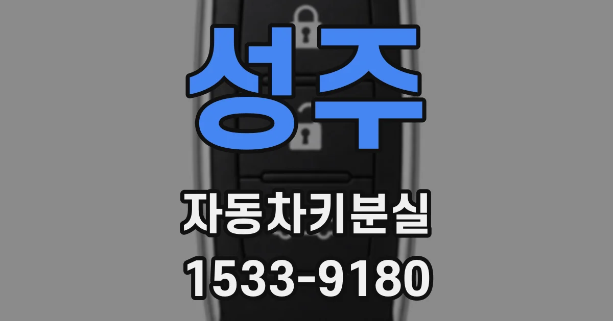 성주 자동차키분실