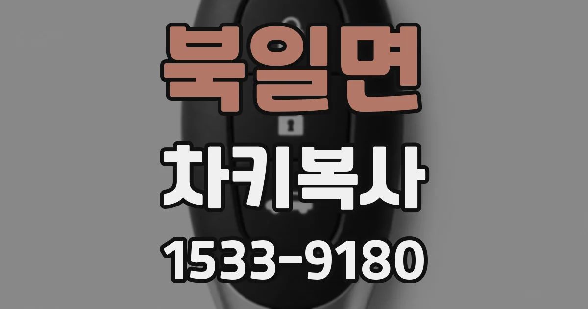 북일면 차키복사