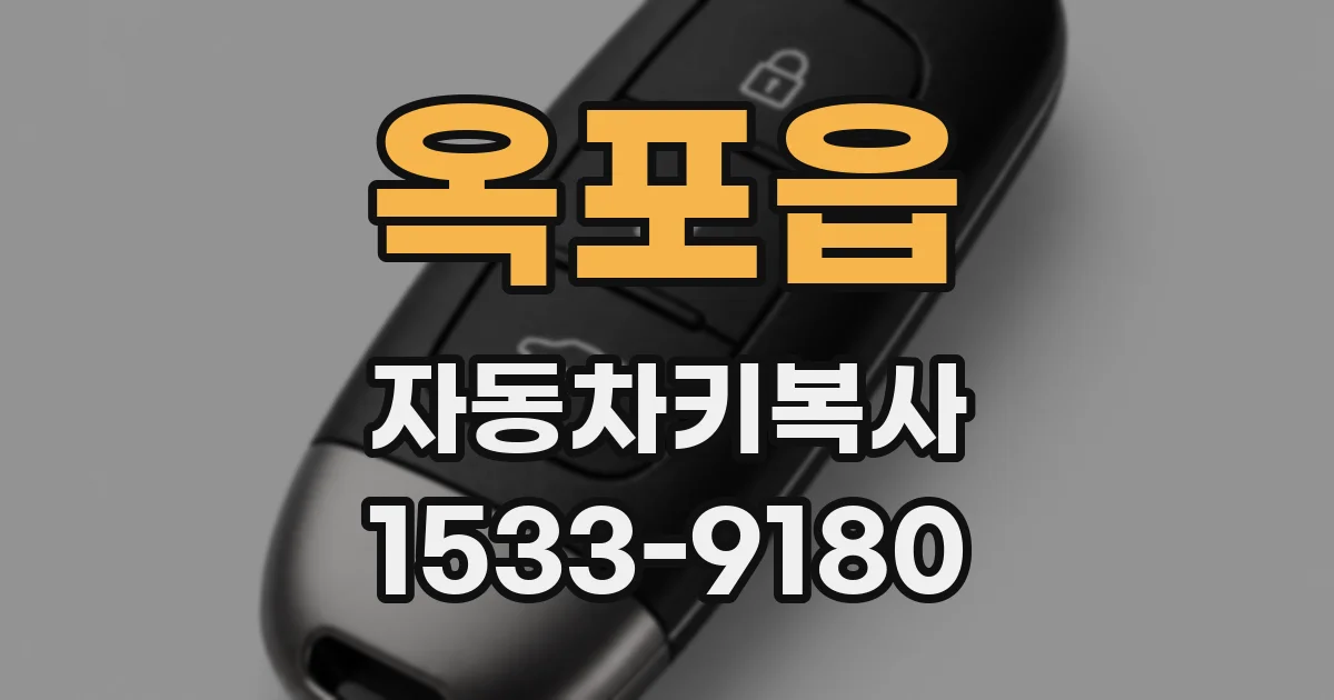 옥포읍 자동차키복사