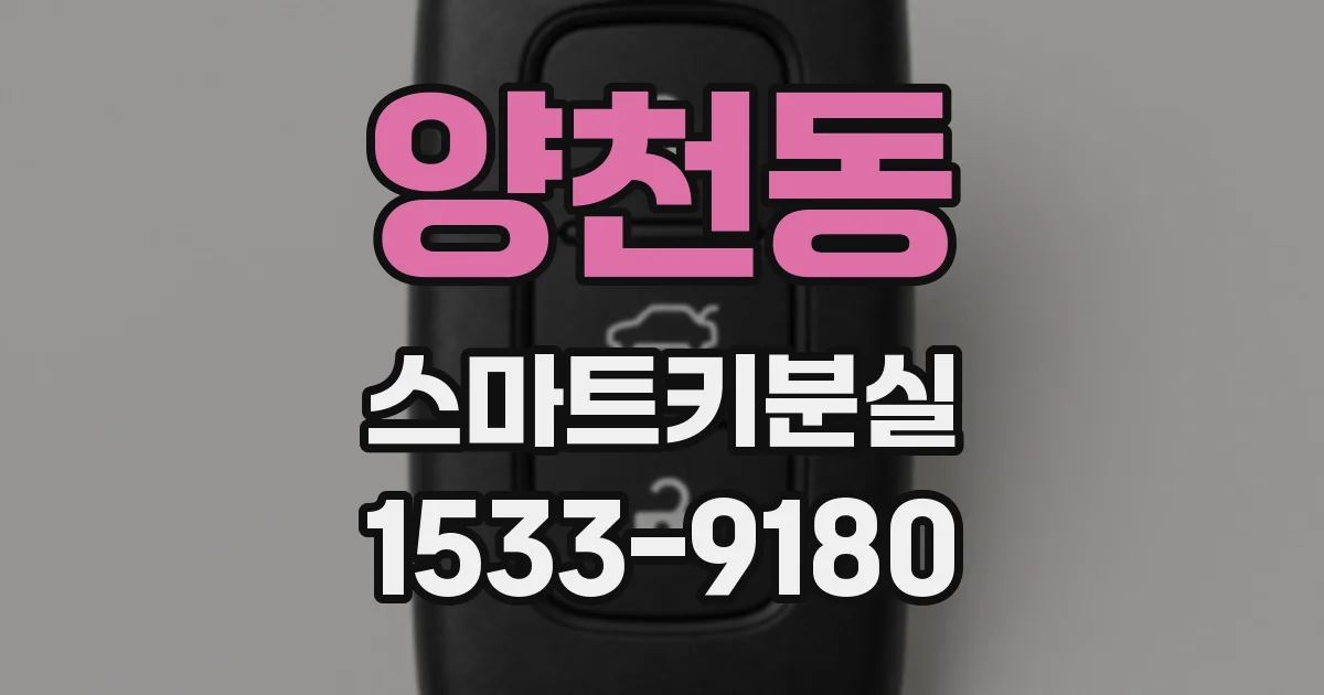 양천동 스마트키분실