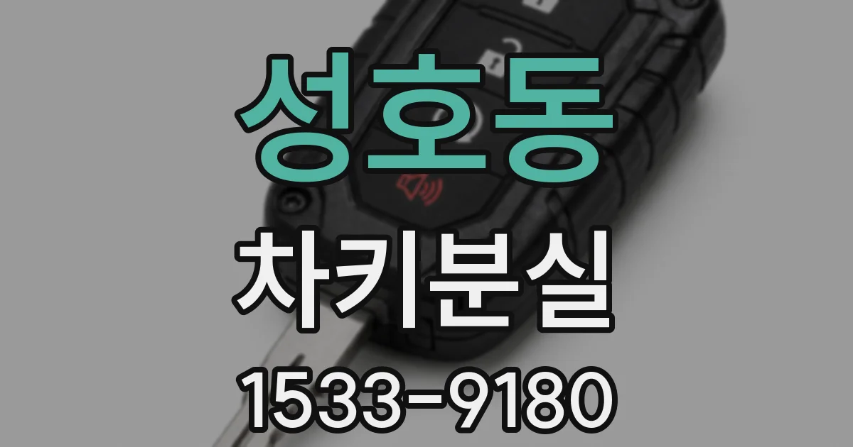 성호동 차키분실