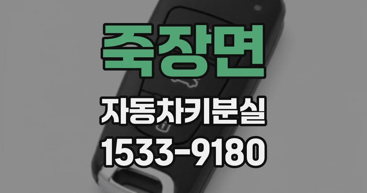 죽장면 자동차키분실