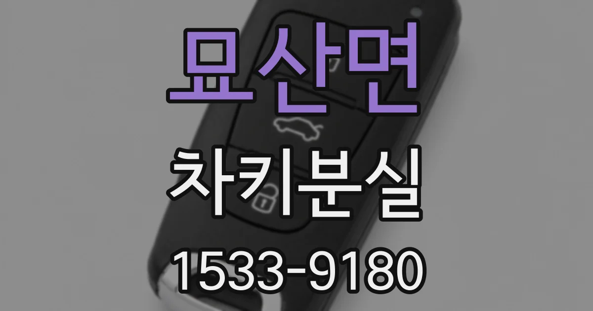 묘산면 차키분실