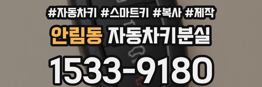 안림동 자동차키분실