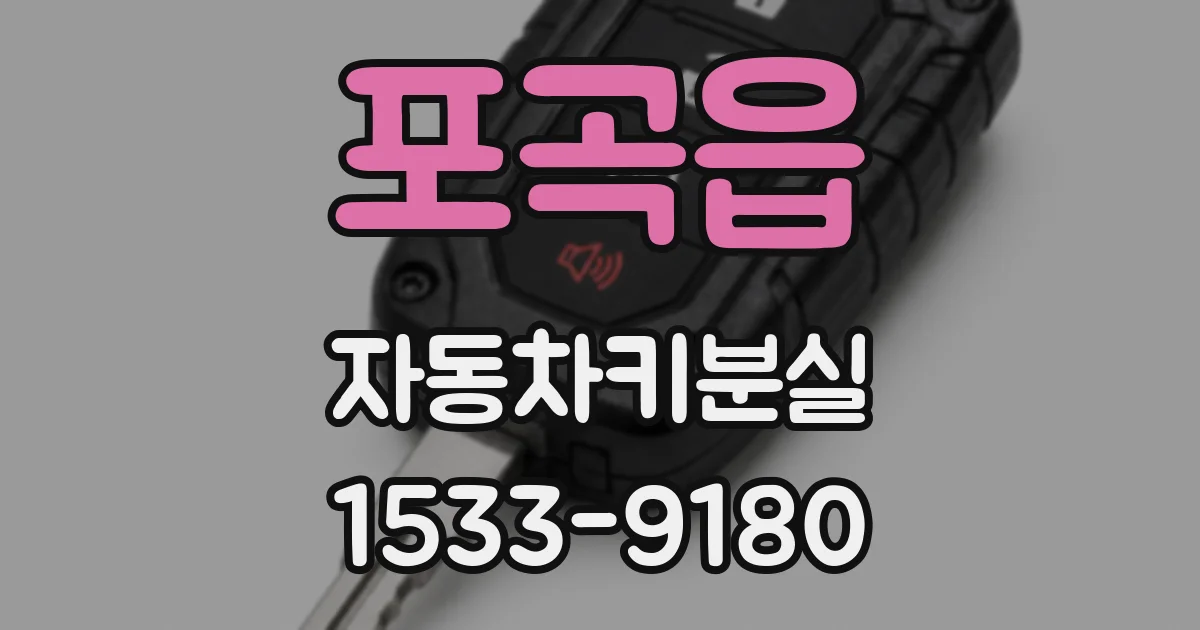 포곡읍 자동차키분실