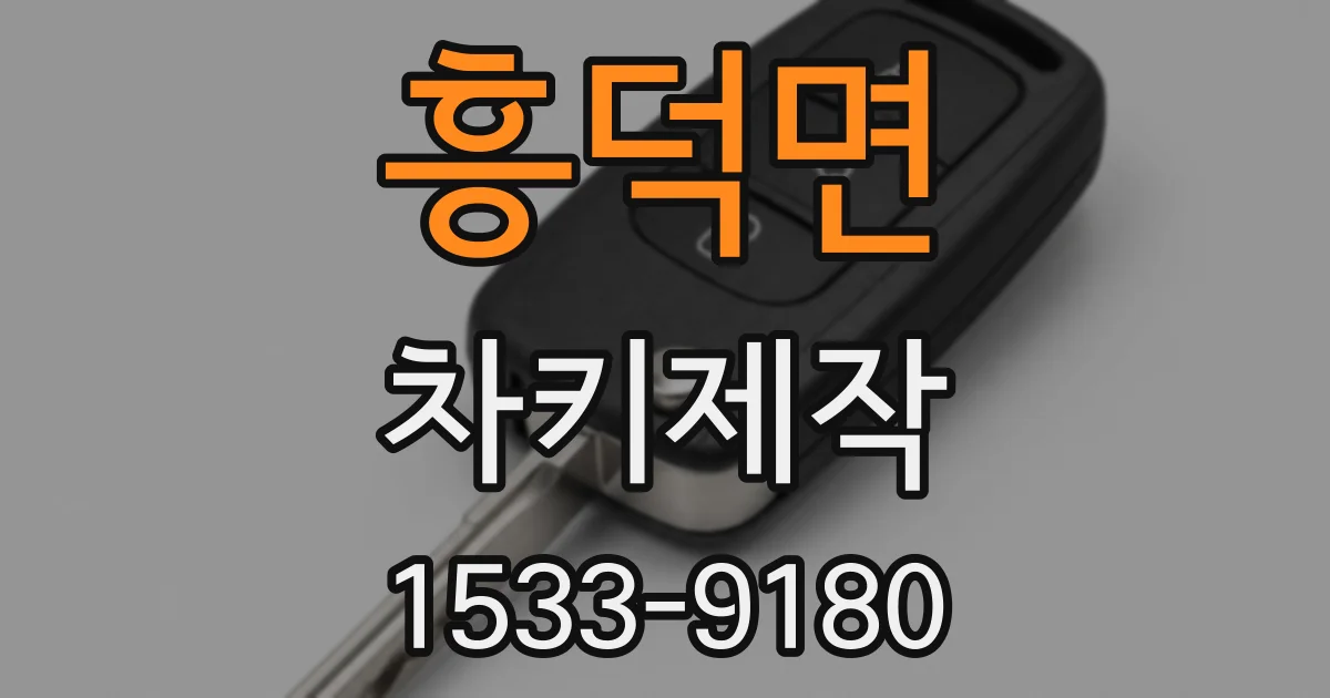 흥덕면 차키제작
