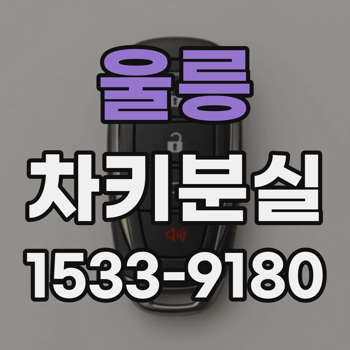 울릉 차키분실