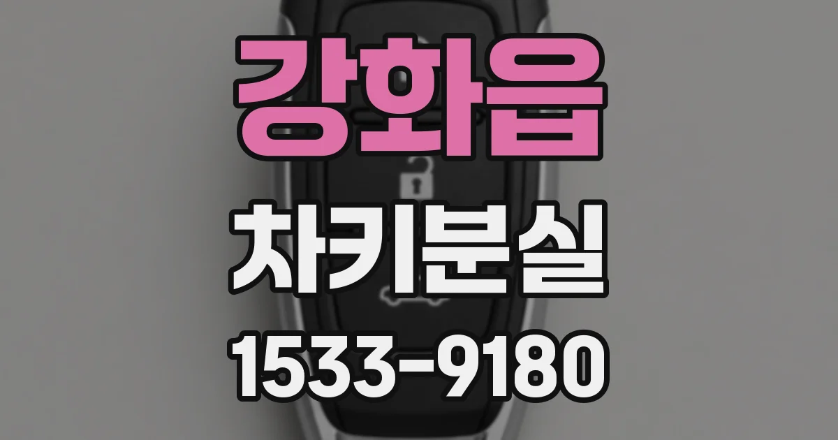 강화읍 차키분실