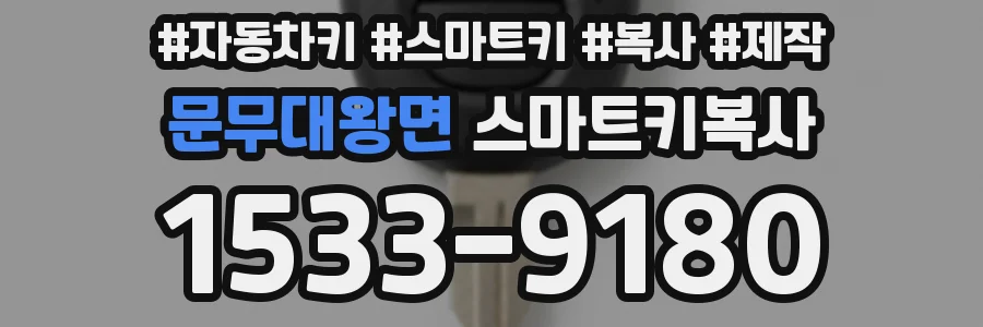 문무대왕면 스마트키복사