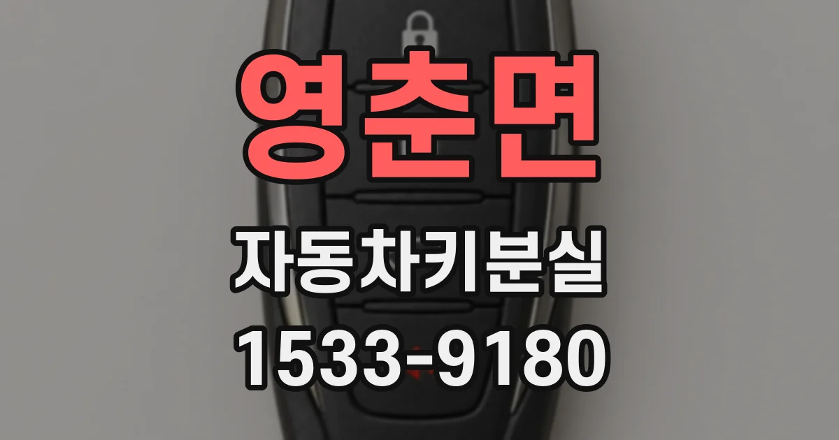 영춘면 자동차키분실