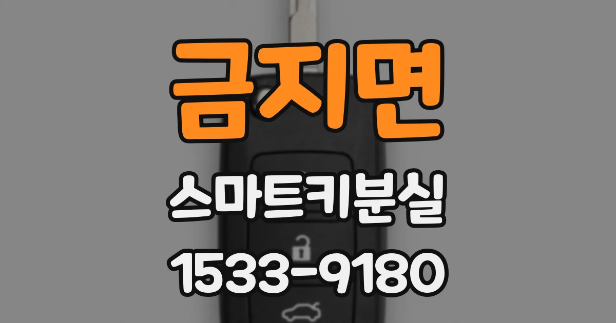 금지면 스마트키분실
