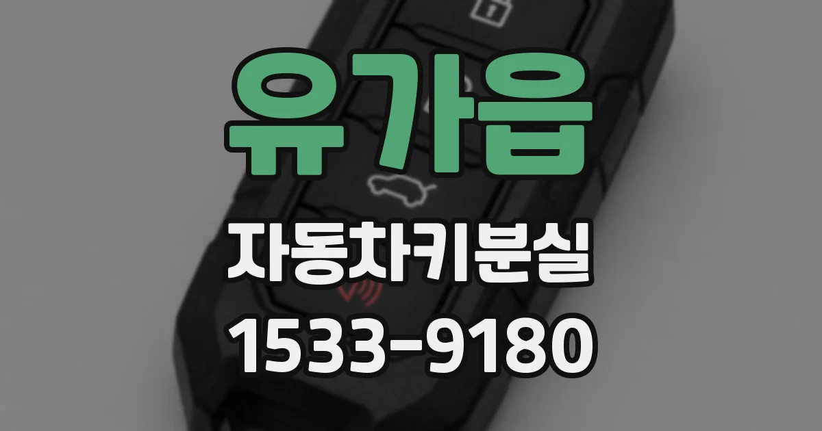 유가읍 자동차키분실