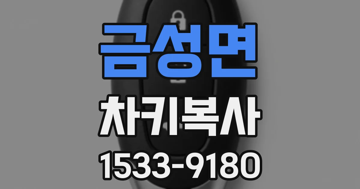 금성면 차키복사