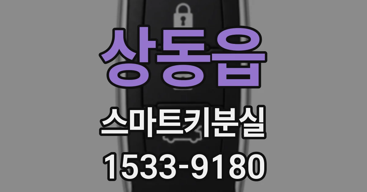 상동읍 스마트키분실