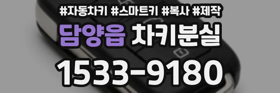 담양읍 차키분실
