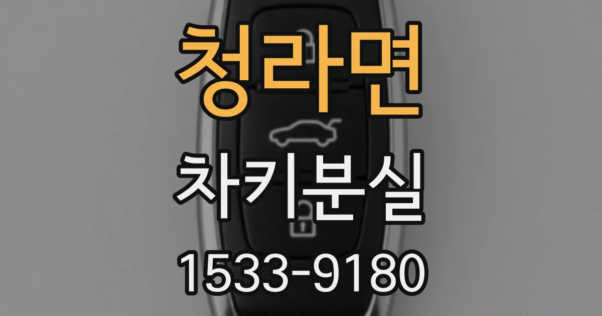청라면 차키분실
