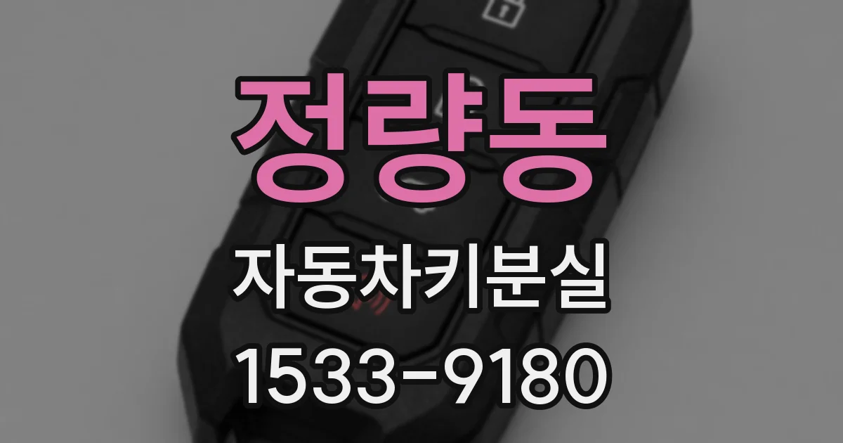 정량동 자동차키분실